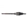 Arbre de transmission avant droit POINT GEAR PNG74722 - Visuel 3