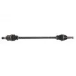 Arbre de transmission avant droit POINT GEAR PNG74820 - Visuel 1