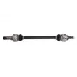 Arbre de transmission arrière droit POINT GEAR PNG75062 - Visuel 1