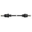 Arbre de transmission avant gauche POINT GEAR PNG75119 - Visuel 1