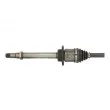 Arbre de transmission avant droit POINT GEAR PNG75159 - Visuel 3