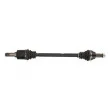 Arbre de transmission arrière gauche POINT GEAR PNG75201 - Visuel 1