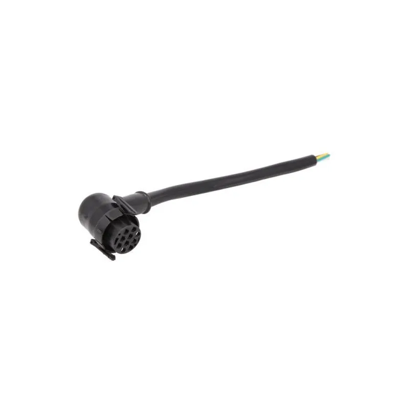 Fiche TRUCKLIGHT CA-IV001