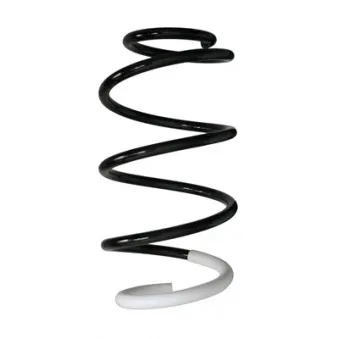 Ressort de suspension SPIDAN 88001