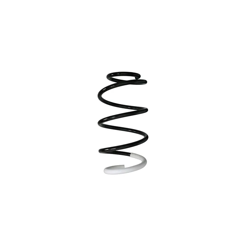 Ressort de suspension SPIDAN 88001
