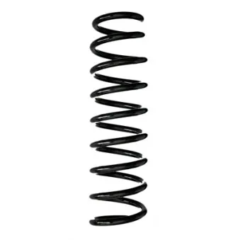 Ressort de suspension SPIDAN 88003