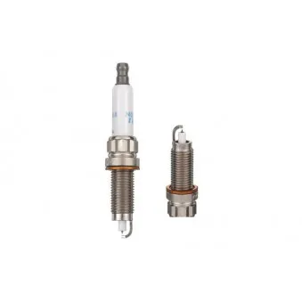 Bougie d'allumage NGK 1555