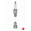 Bougie d'allumage NGK 4221 - Visuel 1