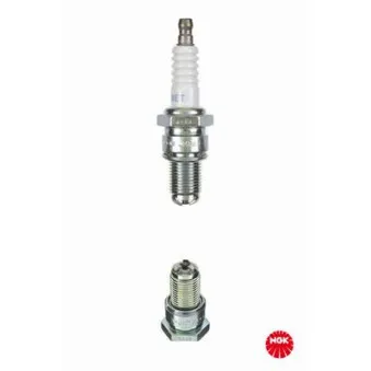 Bougie d'allumage NGK 4221