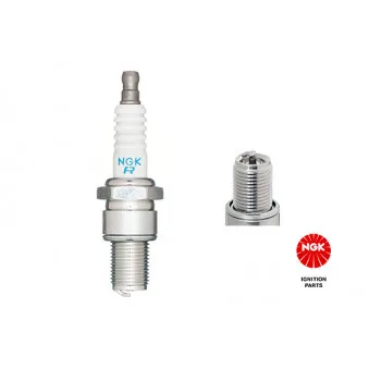 Bougie d'allumage NGK 4677