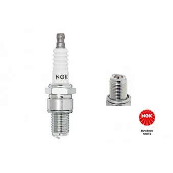 Bougie d'allumage NGK 5583