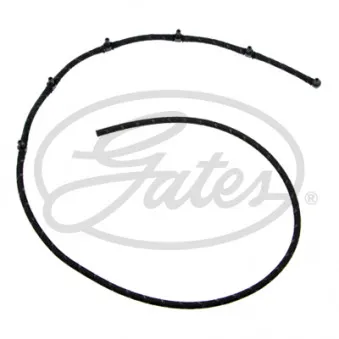 Tuyau, carburant de fuite GATES