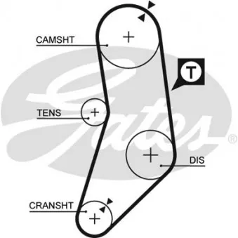 Courroie de distribution GATES T131RB