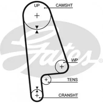 Courroie de distribution GATES T145RB