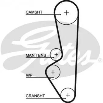 Courroie de distribution GATES T152RB