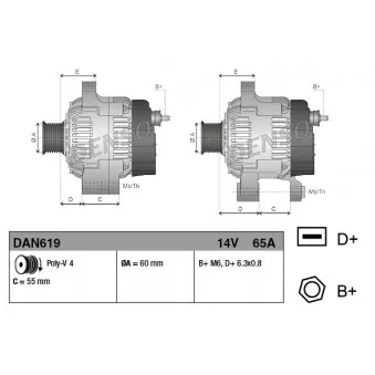 Alternateur DENSO DAN619