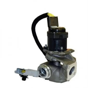 Vanne EGR MAGNETI MARELLI 571822112030