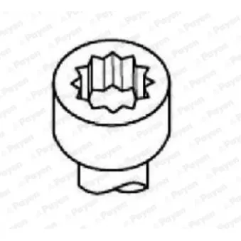 Jeu de boulons de culasse de cylindre PAYEN HBS526