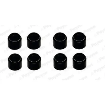 Jeu de joints d'étanchéité, tige de soupape PAYEN