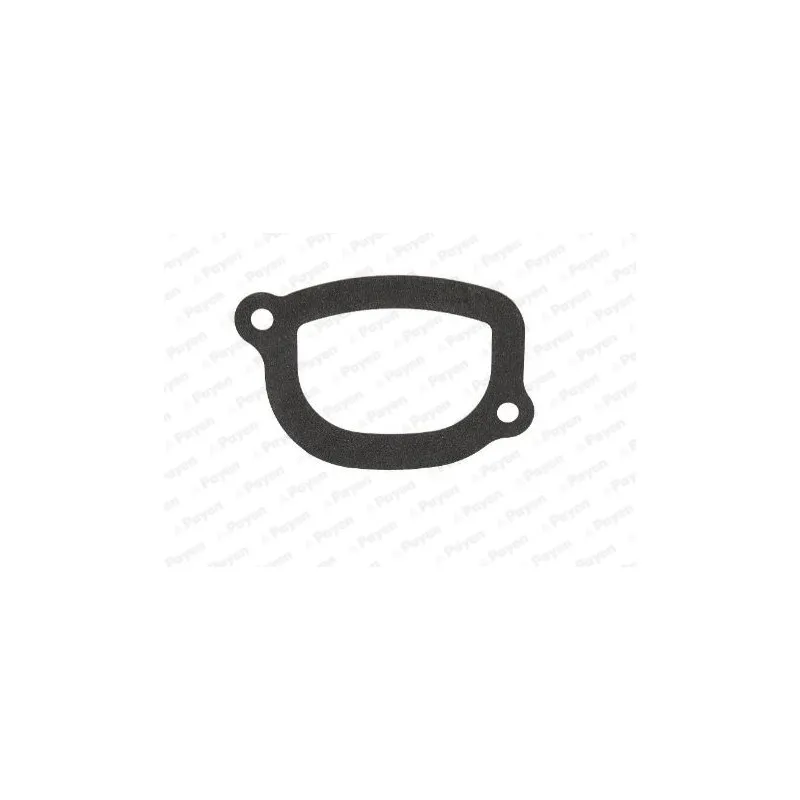 Joint d'étanchéité, thermostat PAYEN KA5032
