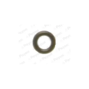 Bague d'étanchéité, tige de soupape PAYEN