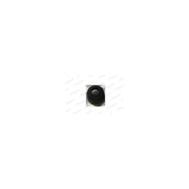 Bague d'étanchéité, tige de soupape PAYEN KJ208