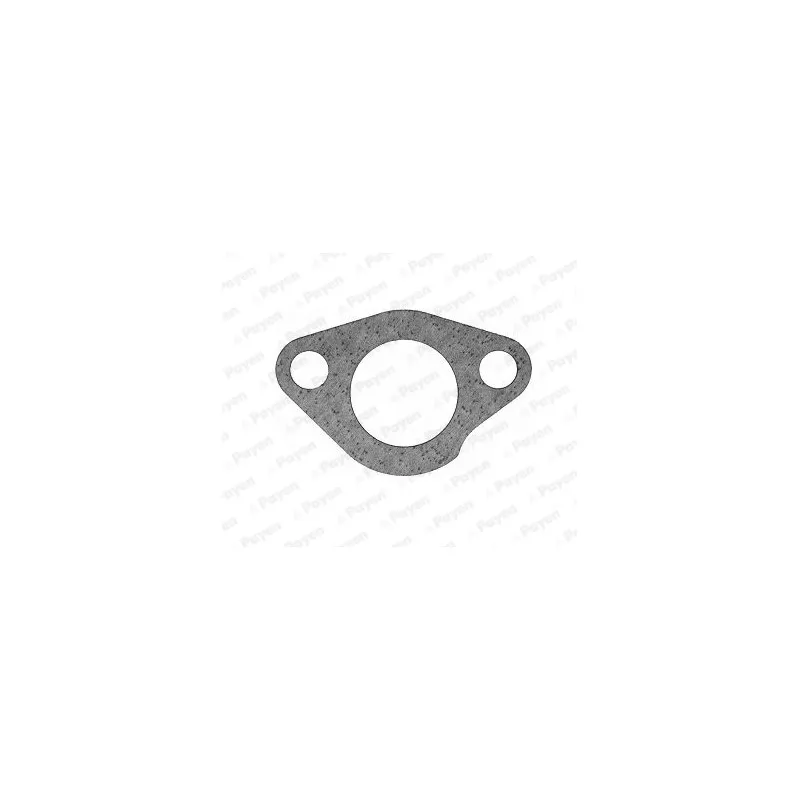 Joint d'étanchéité, thermostat PAYEN KS617