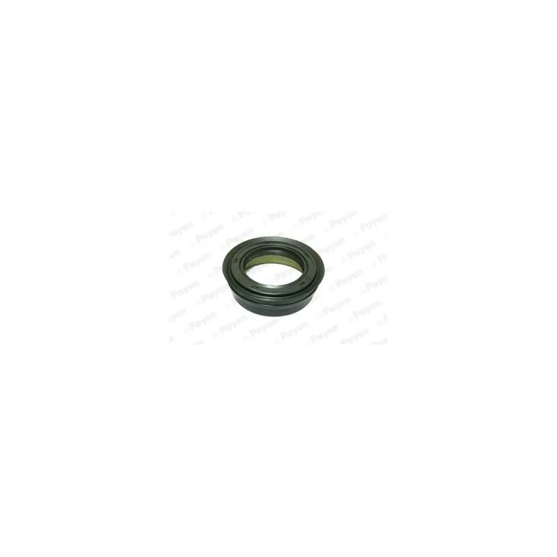 Bague d'étanchéité, différentiel PAYEN NJ689