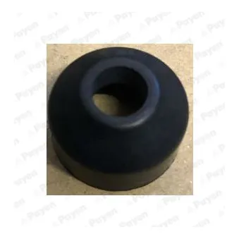 Bague d'étanchéité, tige de soupape PAYEN PA6113