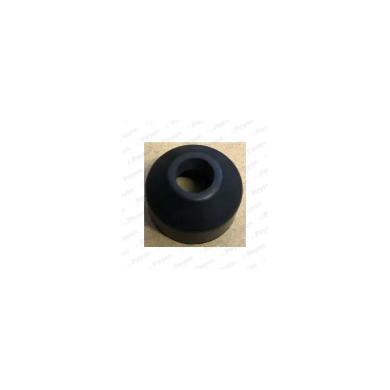 Bague d'étanchéité, tige de soupape PAYEN PA6113