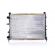 Radiateur, refroidissement du moteur NISSENS 60024 - Visuel 1