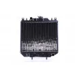 Radiateur, refroidissement du moteur NISSENS 60048 - Visuel 1