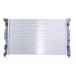 Radiateur, refroidissement du moteur NISSENS 60304A - Visuel 3