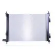 Radiateur, refroidissement du moteur NISSENS 606733 - Visuel 3
