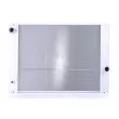 Radiateur, refroidissement du moteur NISSENS 60763 - Visuel 1
