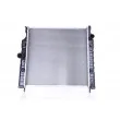 Radiateur, refroidissement du moteur NISSENS 61026 - Visuel 1