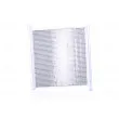 Radiateur, refroidissement du moteur NISSENS 68450 - Visuel 3