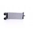 Intercooler, échangeur NISSENS 961483 - Visuel 1