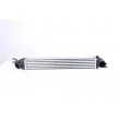 Intercooler, échangeur NISSENS 96608 - Visuel 1