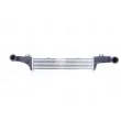 Intercooler, échangeur NISSENS 96860 - Visuel 1