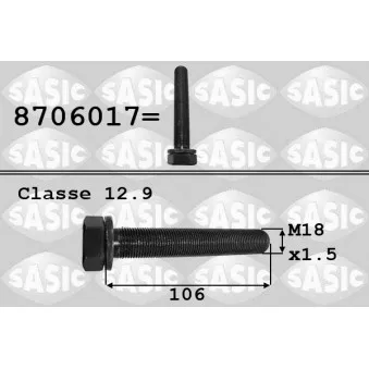 Vis de poulie SASIC 8706017