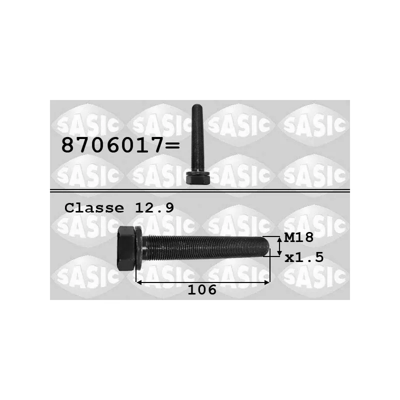 Vis de poulie SASIC 8706017