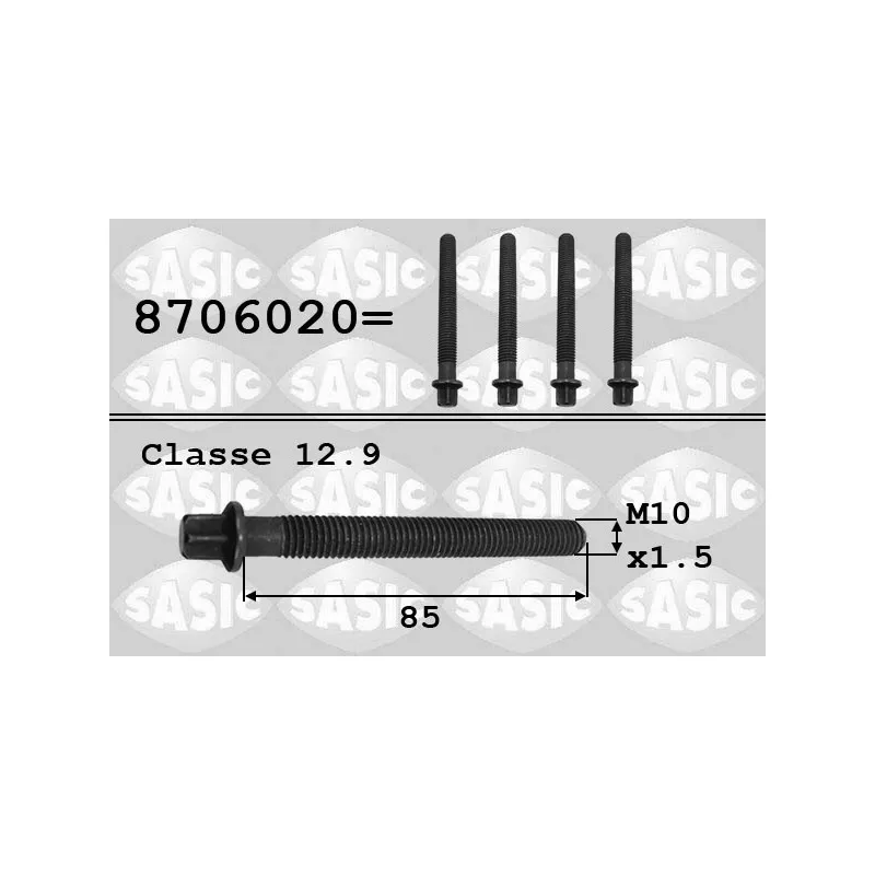 Vis de poulie SASIC 8706020