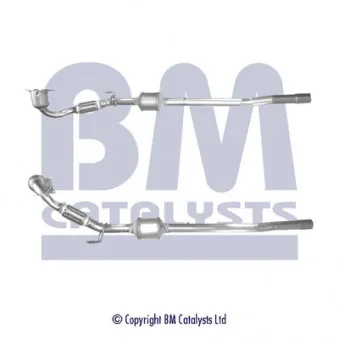 Catalyseur BM CATALYSTS BM92081H