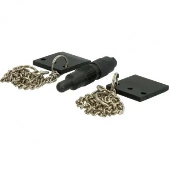 Kit d'outils de réglage, épure de distribution KS TOOLS