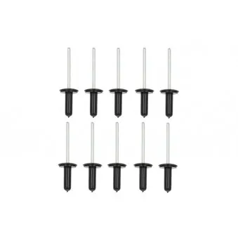 Rivet ROMIX