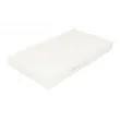 Filtre, air de l'habitacle JC PREMIUM B4E002PR - Visuel 1