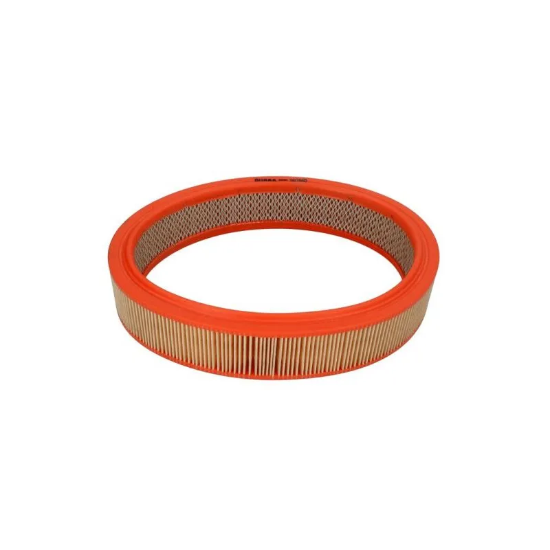 Filtre à air PURRO PUR-PA2060