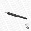 Jeu de 2 amortisseurs arrière MONROE 376098SP - Visuel 3