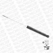 Jeu de 2 amortisseurs arrière MONROE 376140SP - Visuel 3